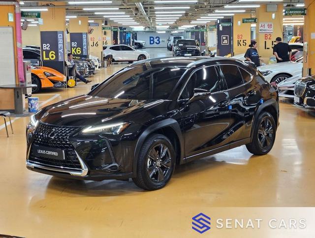 Lexus UX 2.0 2WD