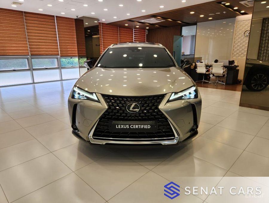 Lexus UX 2.0 AWD