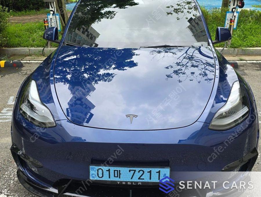 Tesla Model Y Performance 2WD