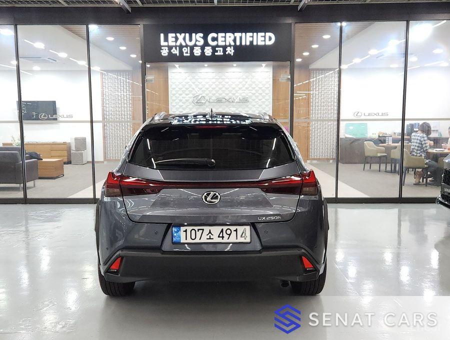 Lexus UX 2.0 2WD