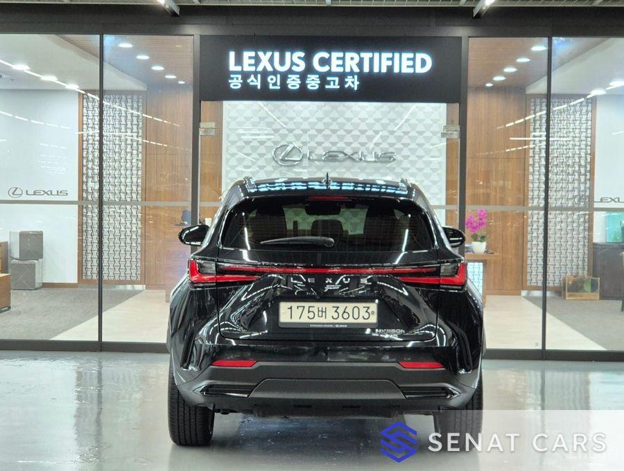 Lexus NX Premium 2WD