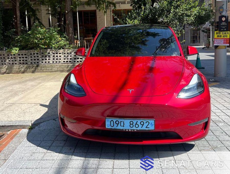 Tesla Model Y Performance 2WD