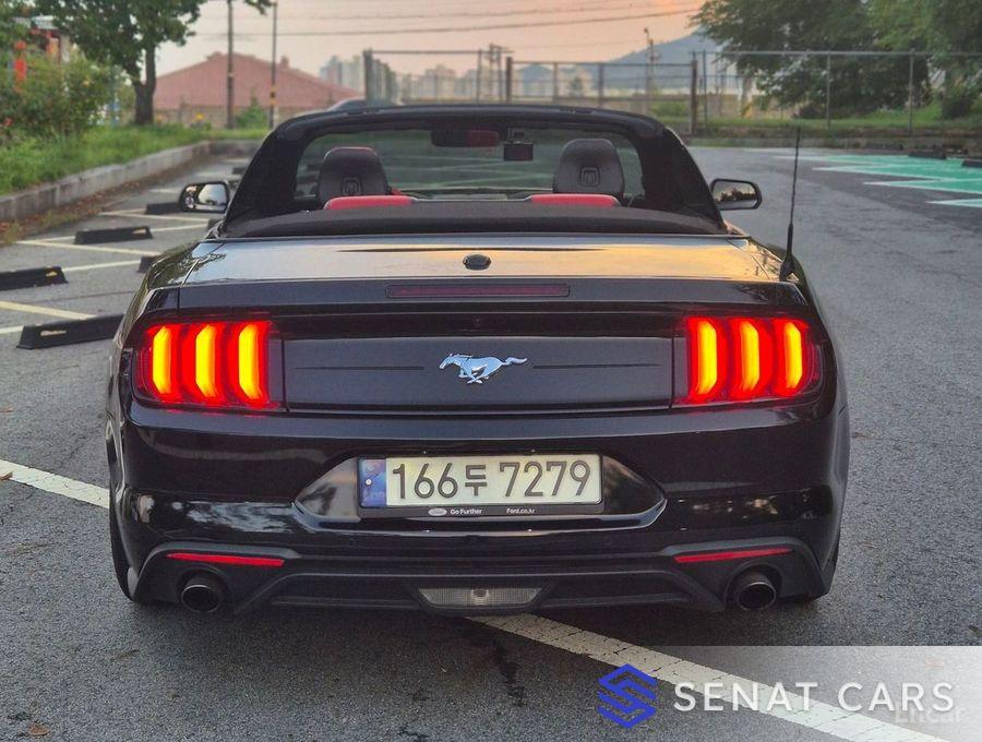 Ford Mustang Convertible 2WD